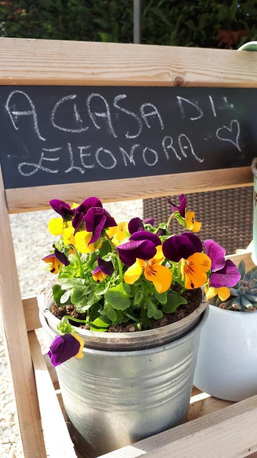 B&B A Casa Di Eleonora 빌라프랑카 디 베로나 외부 사진